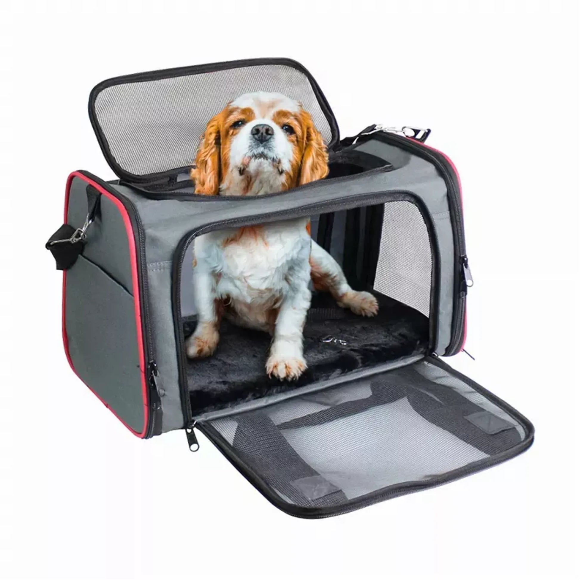 Dog with head sticking out of gray pet carrier