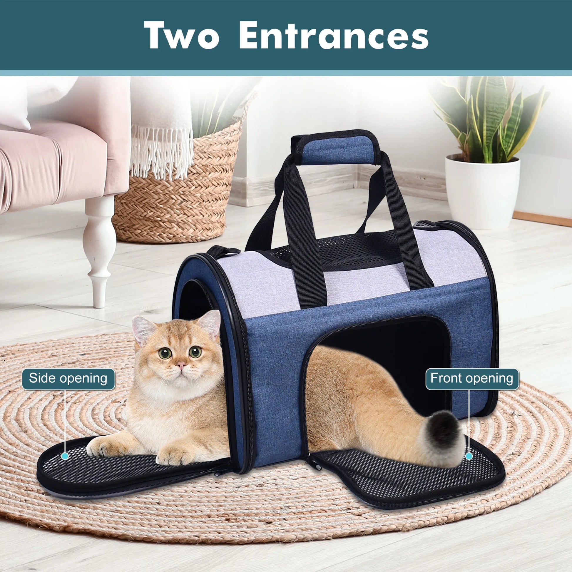 Cat in blue jesper soft sided pet carrier showing opening features