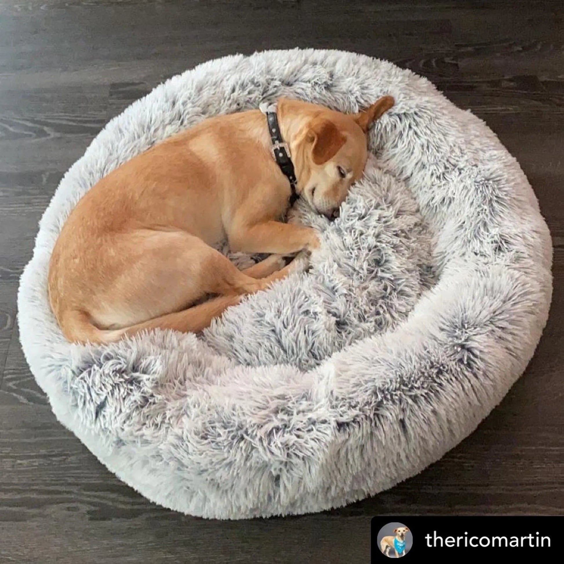 OrthoPlush Pet Bed