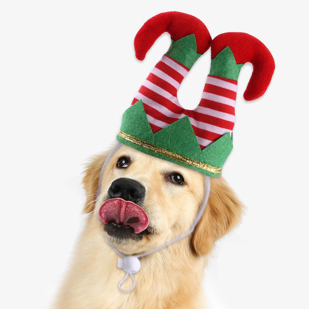 Brown dog wearing Pet Christmas Dress Up Set: Festive Hat  For Dogs
