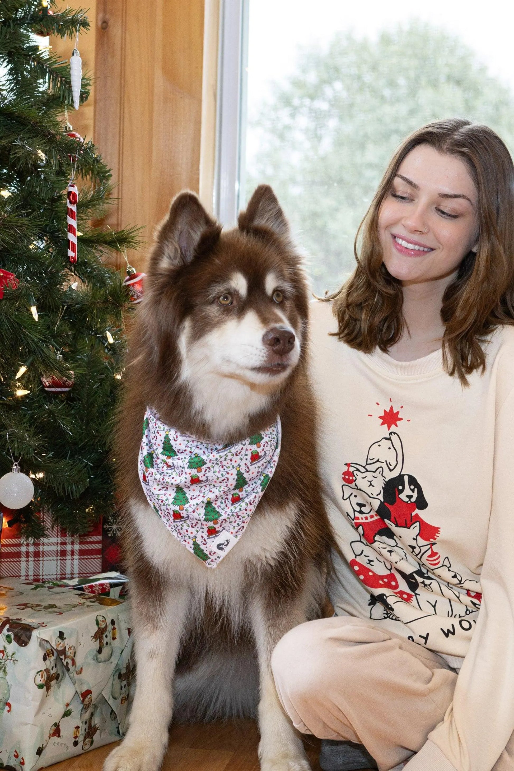 Dog wearing bandana with Christmas motif and owner