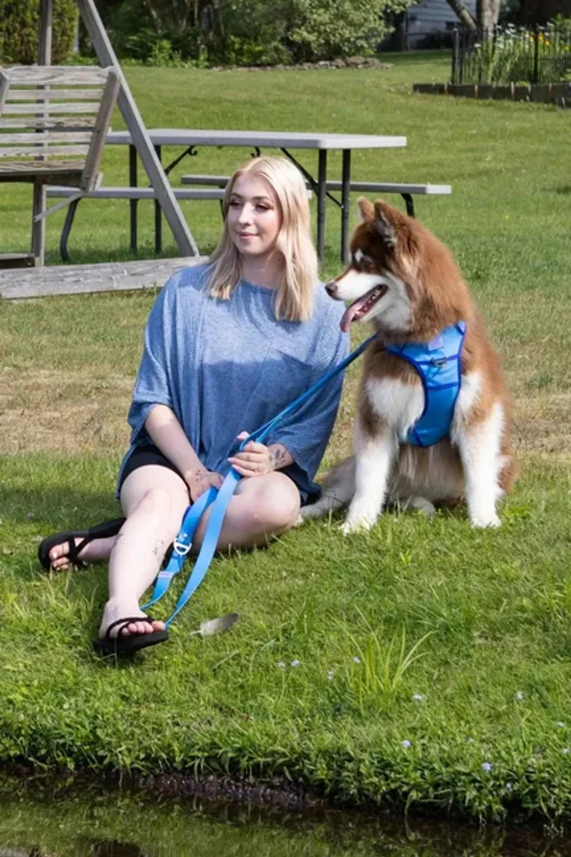 Ultimate Dog Harness