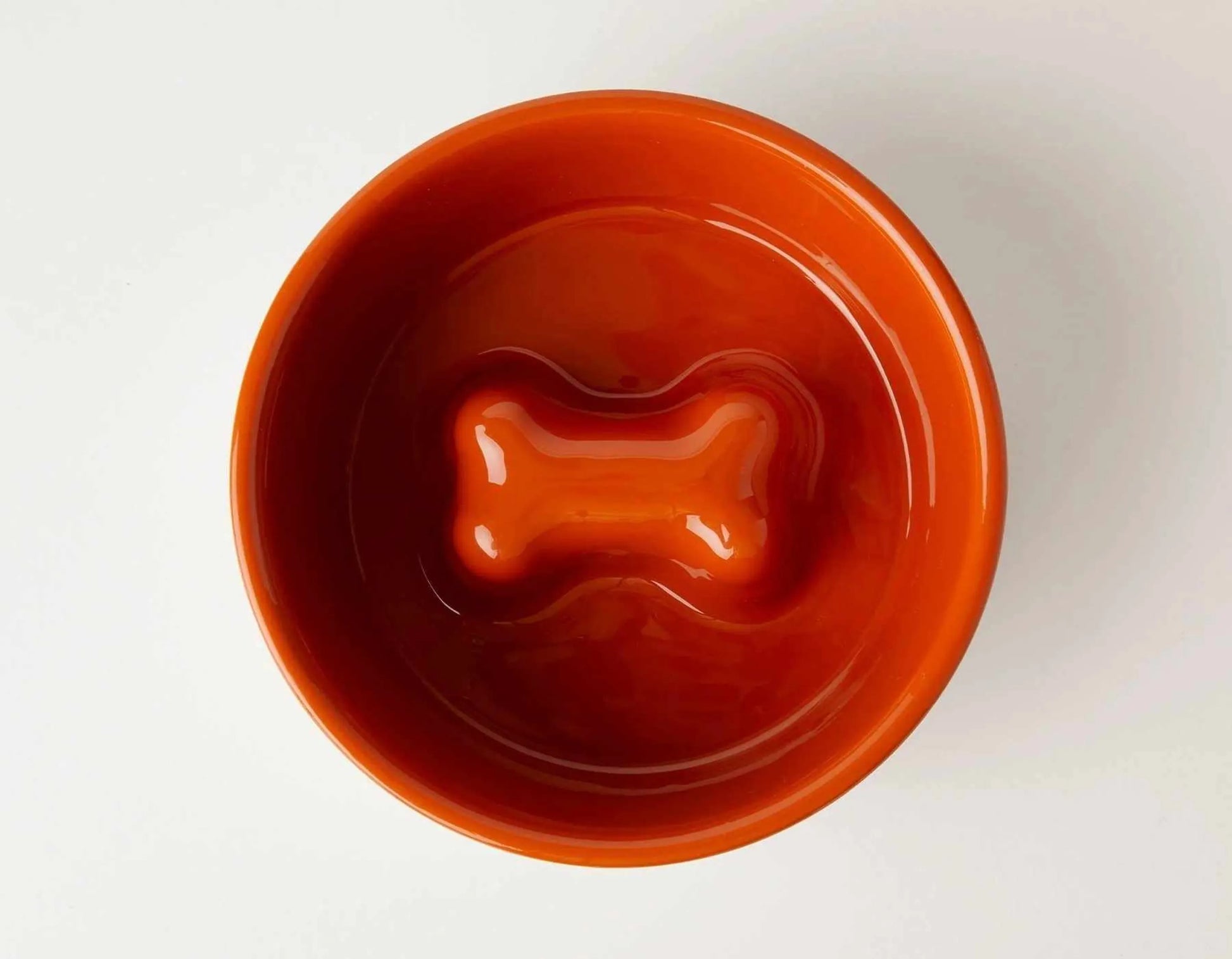 Stainless Steel Slow Feeder Dog Bowl