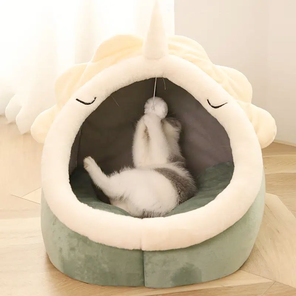 cat playing in green cat house with cream trim