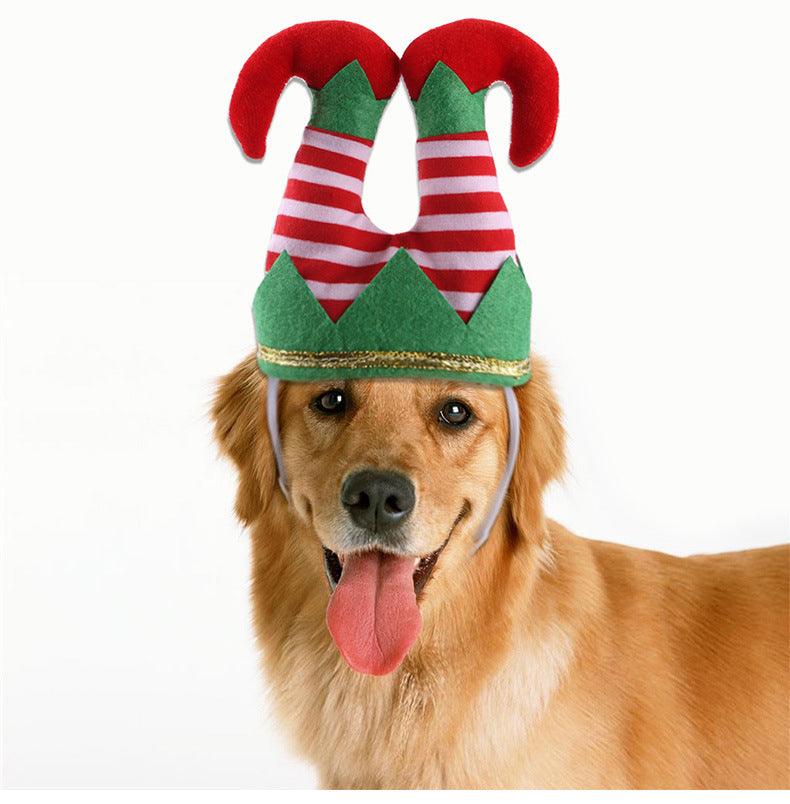 Brown dog wearing Festive Hat And Funny Striped Clown Headgear