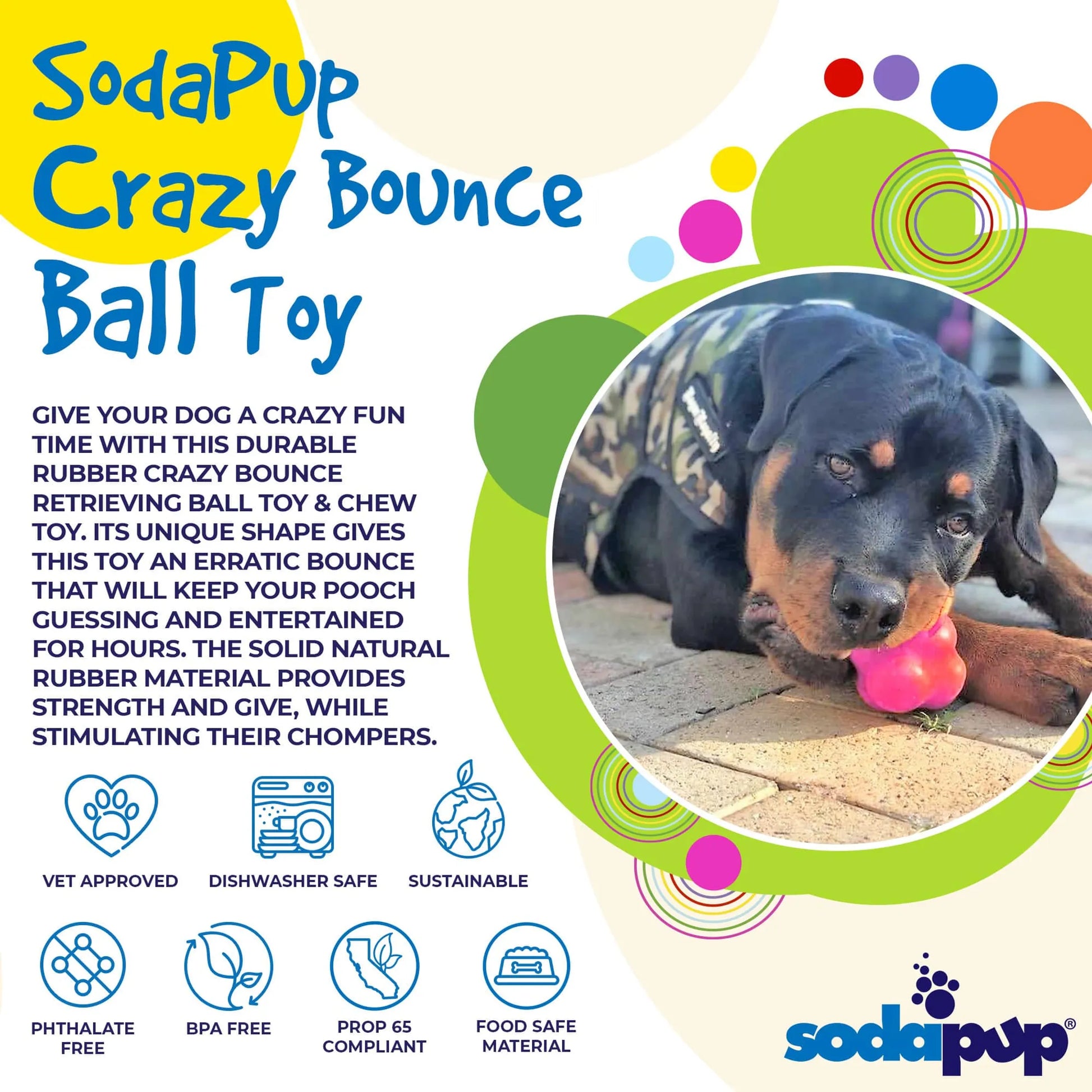 Crazy Bounce Chew & Retreive Dog Toy