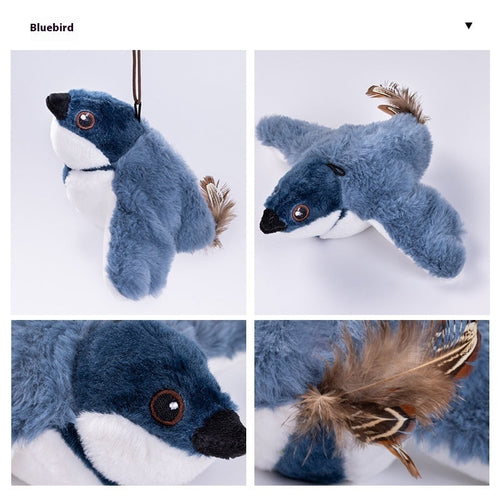 Four separate images of blue jay cat toy