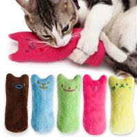 Cat playing with a pink toy, with five colorful cat-shaped socks displayed below on a white background.