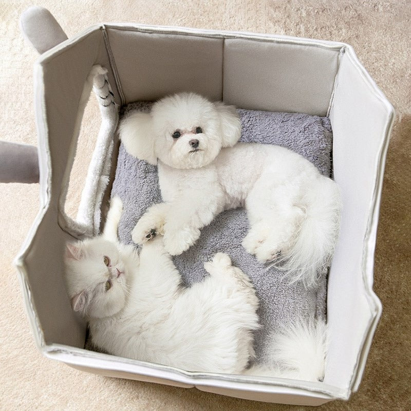 white dog and cat sleeping in house