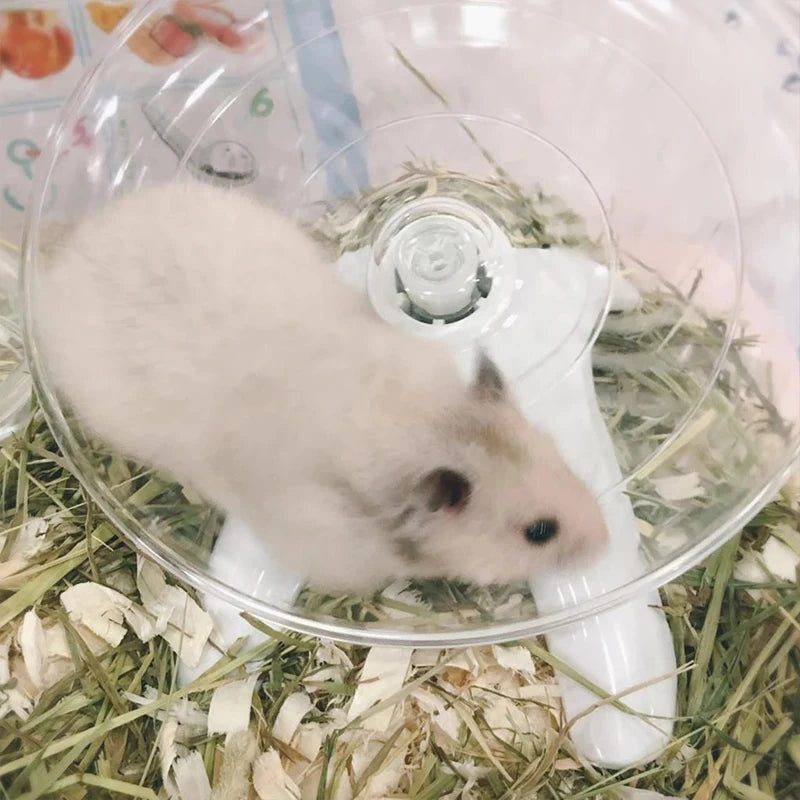 Hamster in clear stationary hamster wheel