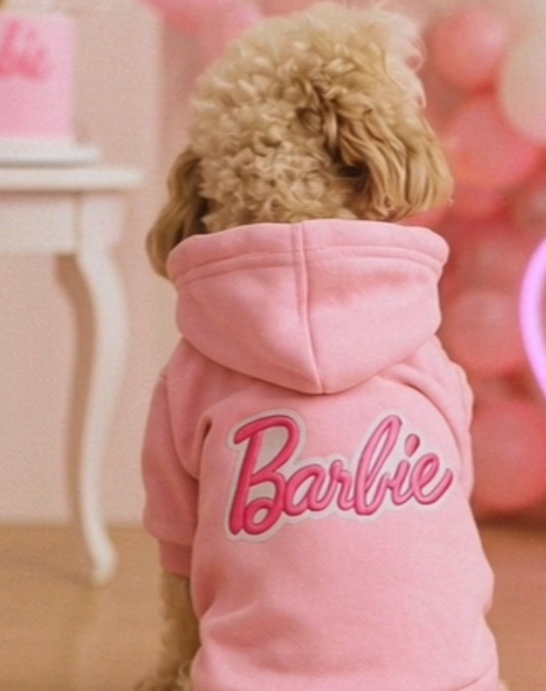 Brown dog wearing pink Barbie hoody