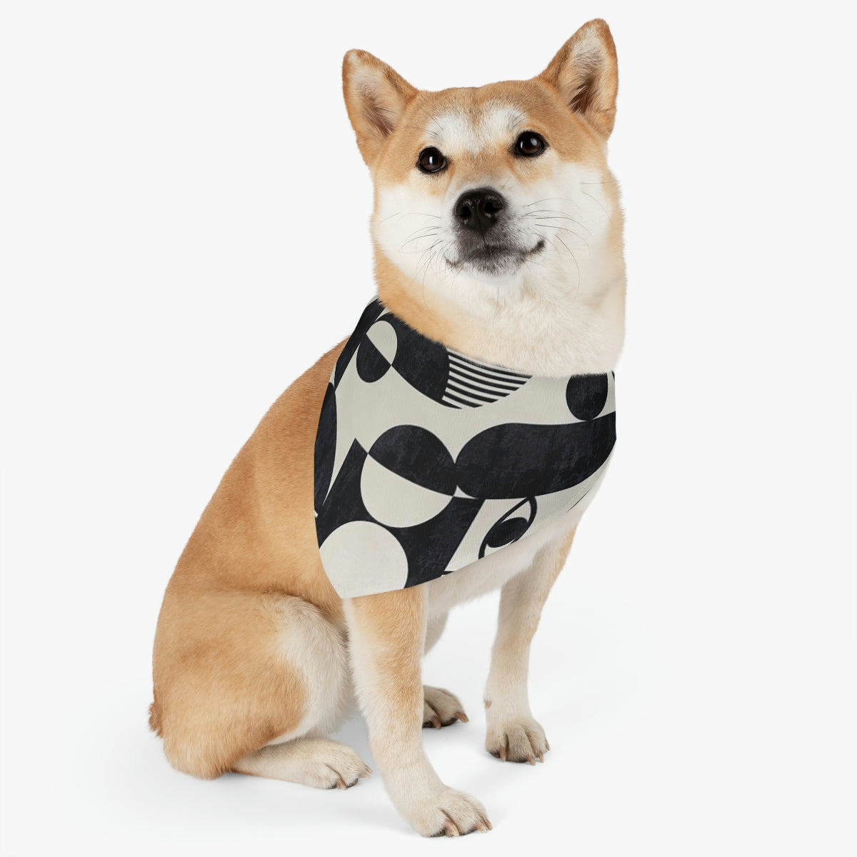 dog wearing black and white abstract bandana