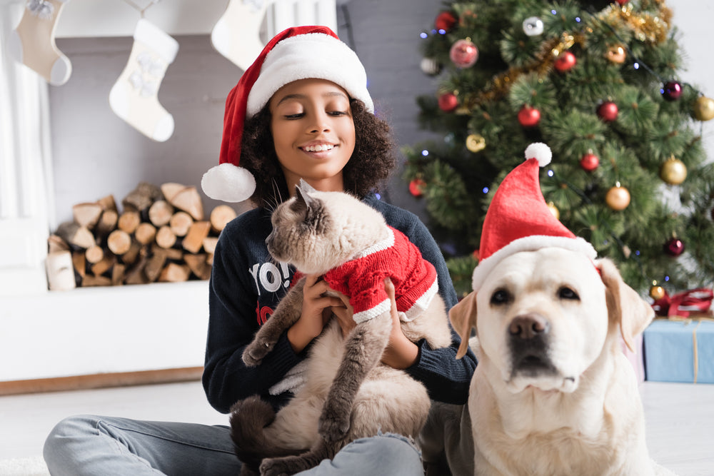 Woman sitting on the floor  holding cat with dog in front of a fireplace