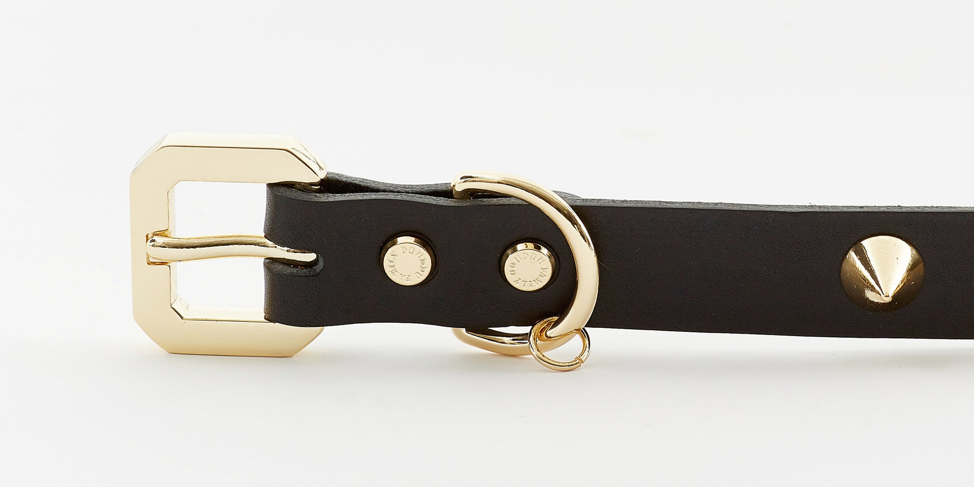 close up buckle Golden Spike Black Dog Collar