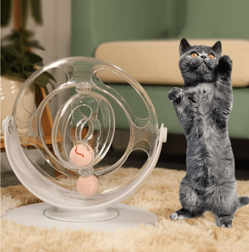 Cat playing with a clear ball toy on a beige carpet