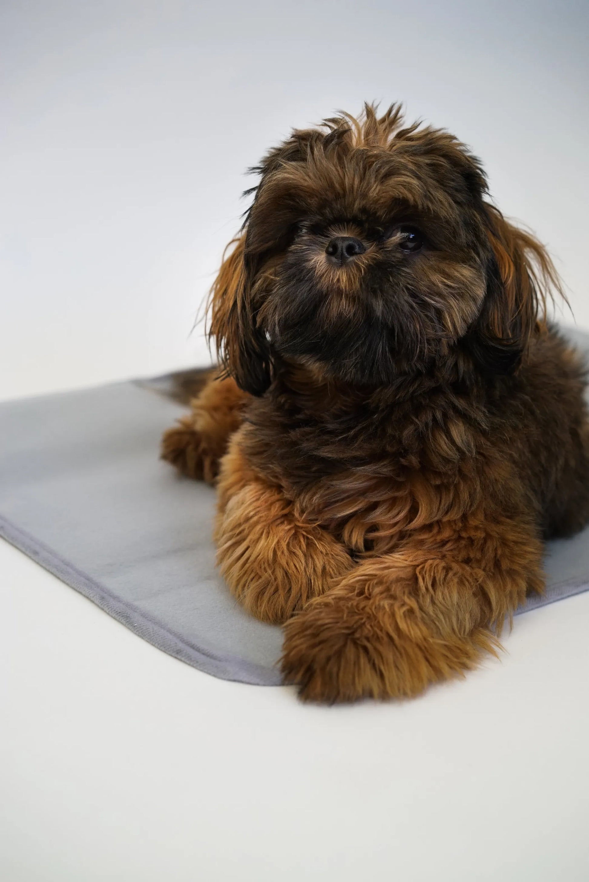 Thera-Pawz Pet Warming Pad