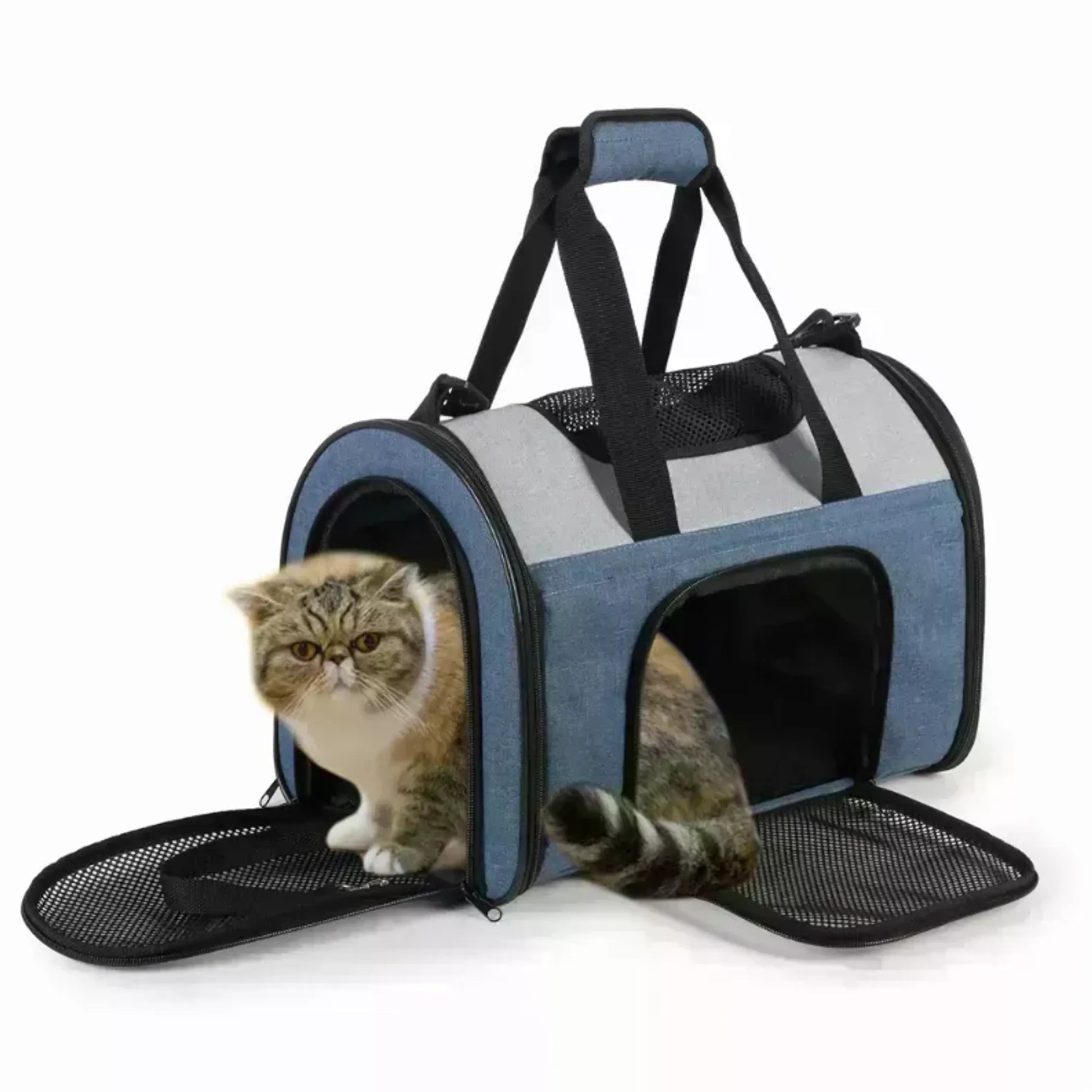 Cat in blue jesper soft sided pet carrier