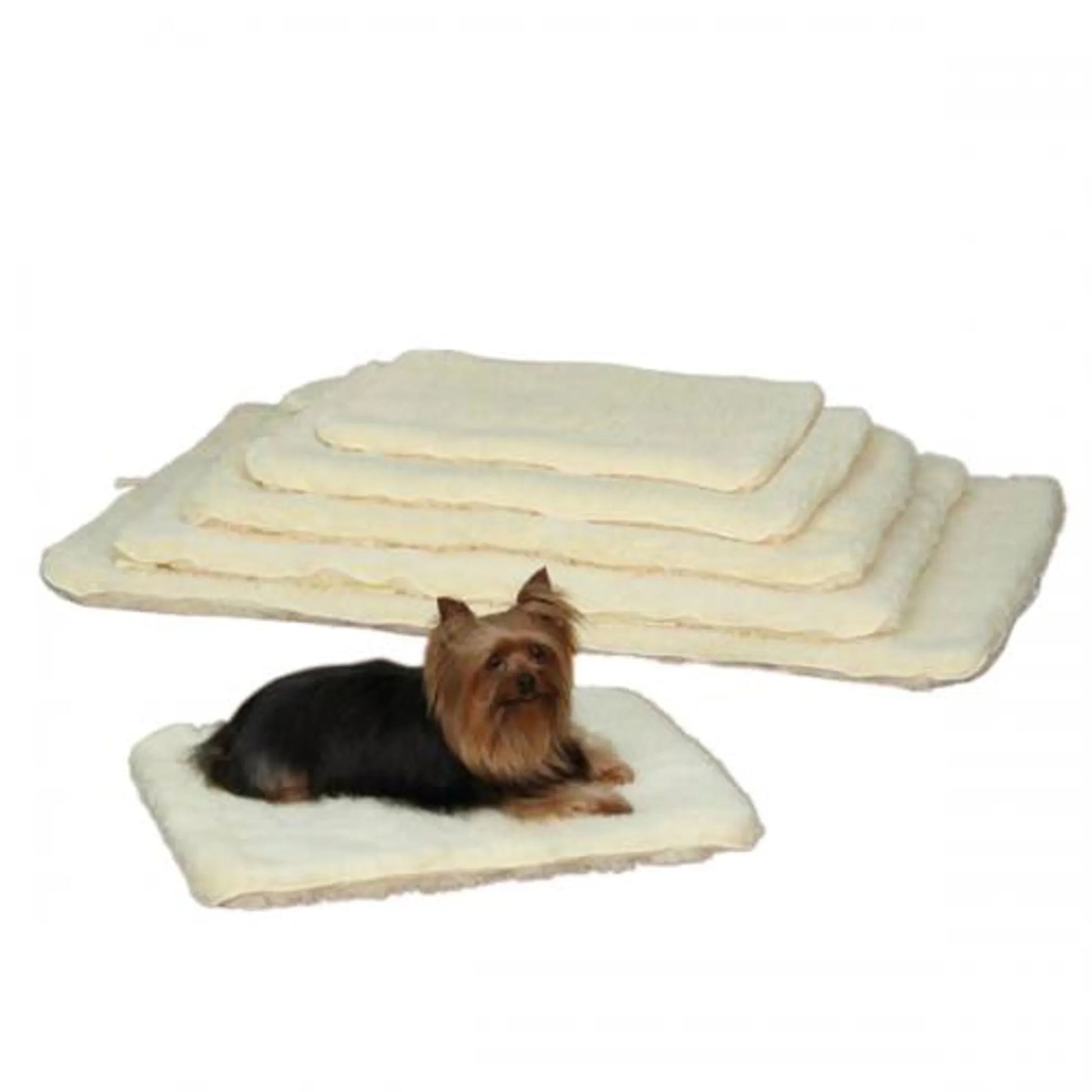 Stack of pet mats with a small dog sitting on one of them against a white background
