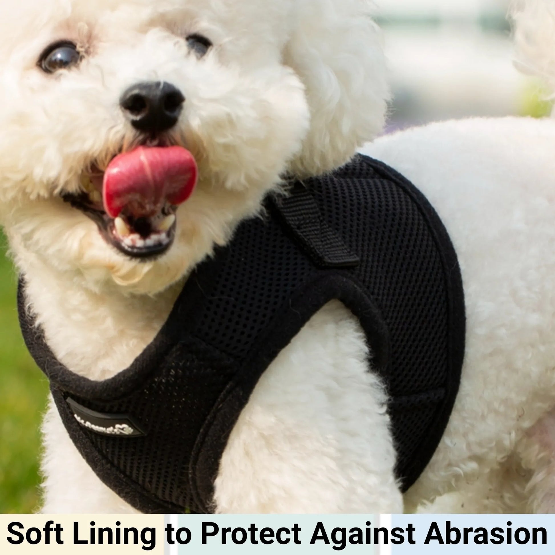 White dog wearing a black harness with text 'Soft Lining to Protect Against Abrasion'.