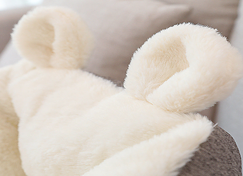 Close up of pet bed