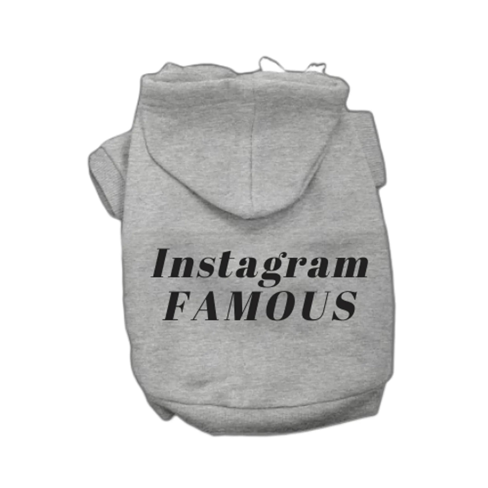Gray Instagram famous dog hoodie