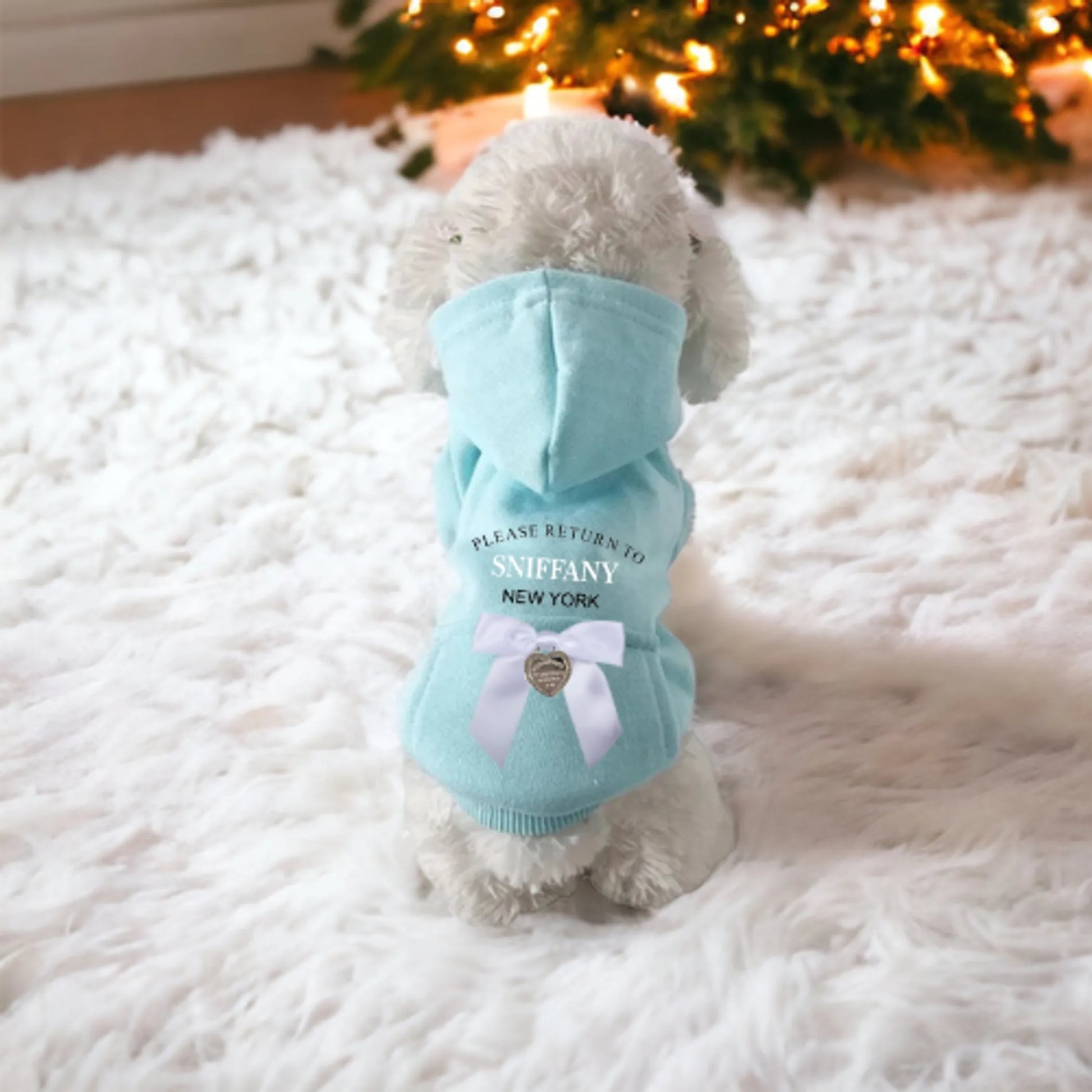 Dog sittingon a white rug in a turquoise sniffany dog hoodie 