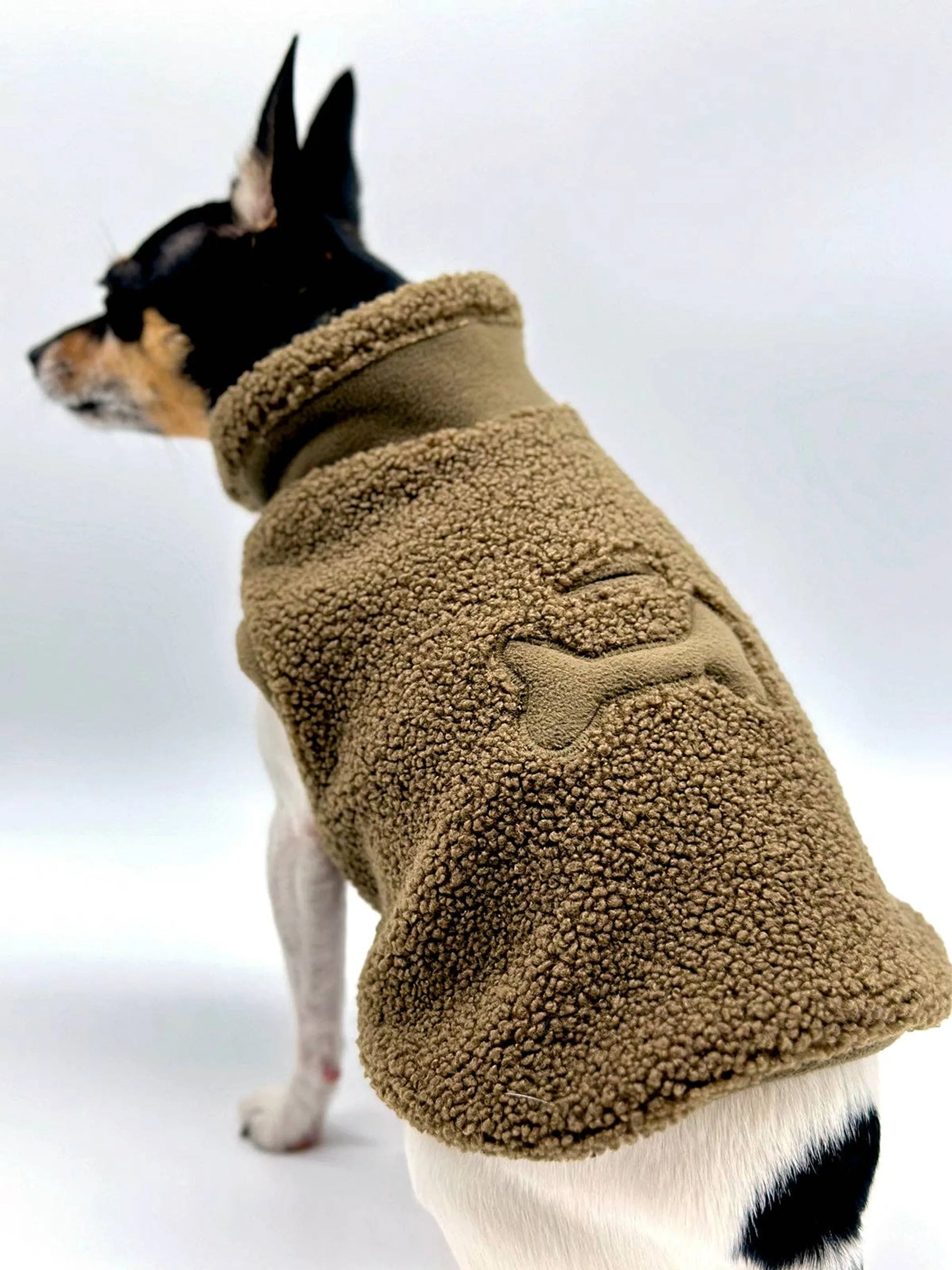 Black and brown dog wearing brown sherpa jacket