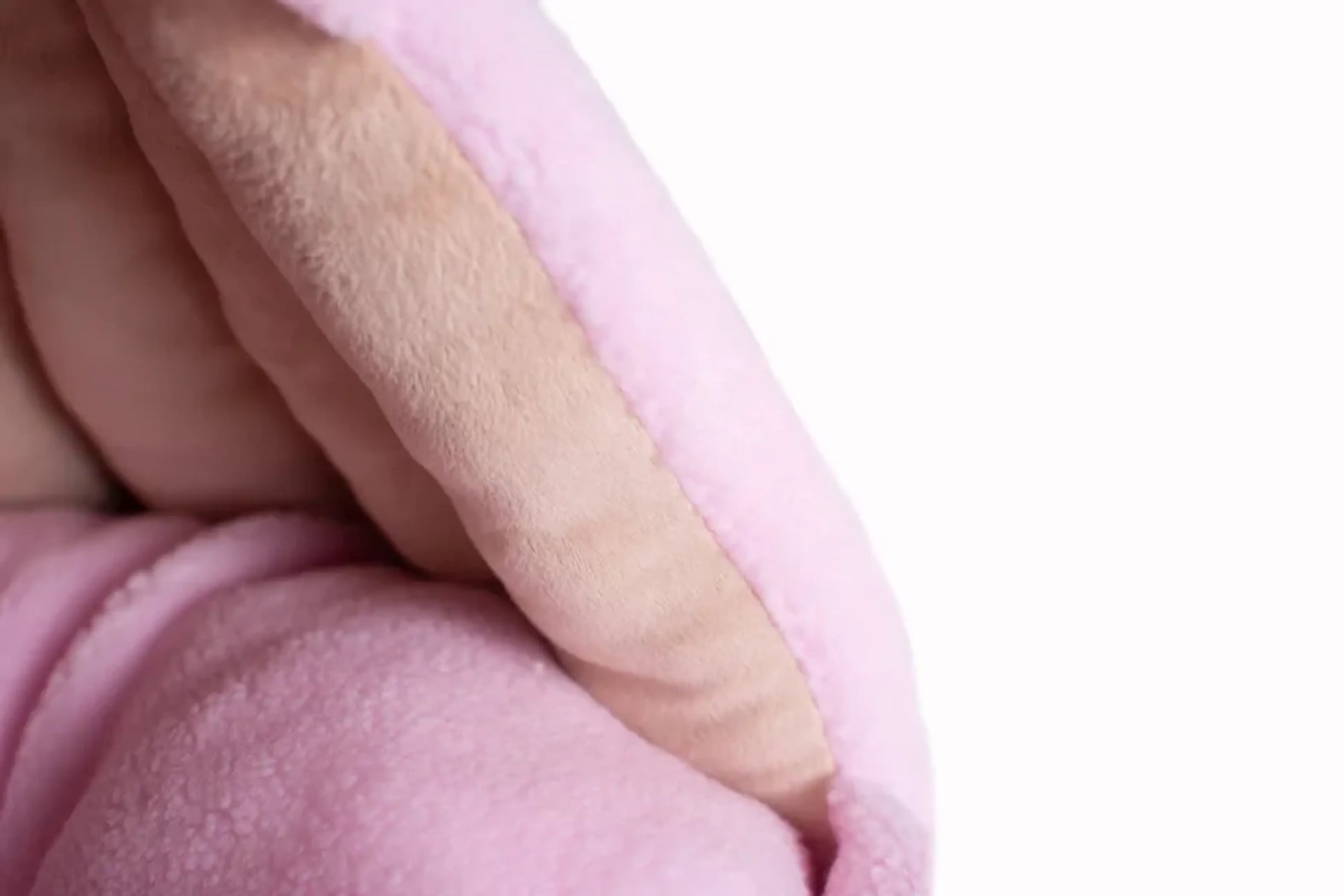 Bolstered Pet Bed and Mat