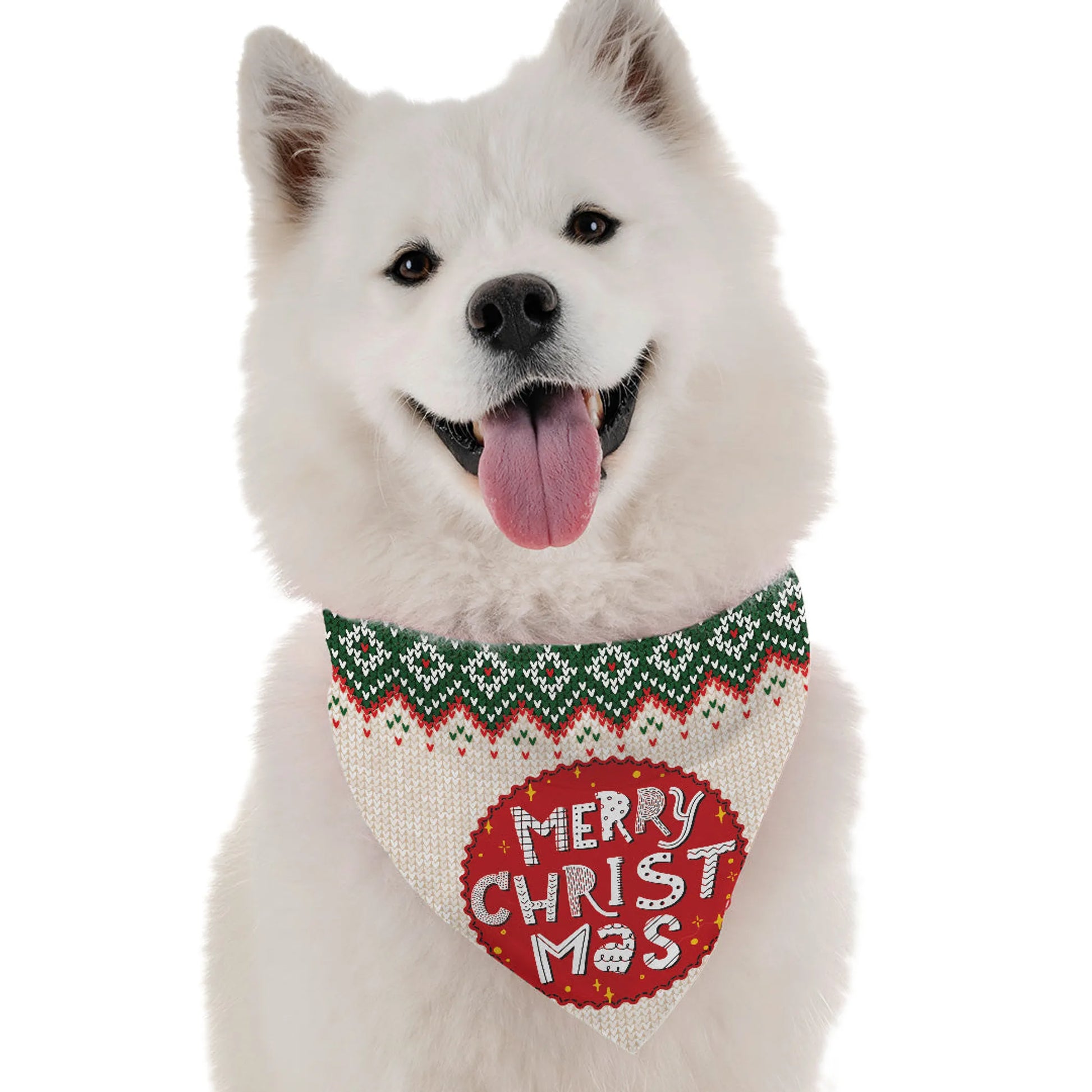 Dog wearing ugly sweater Christmas bandana 