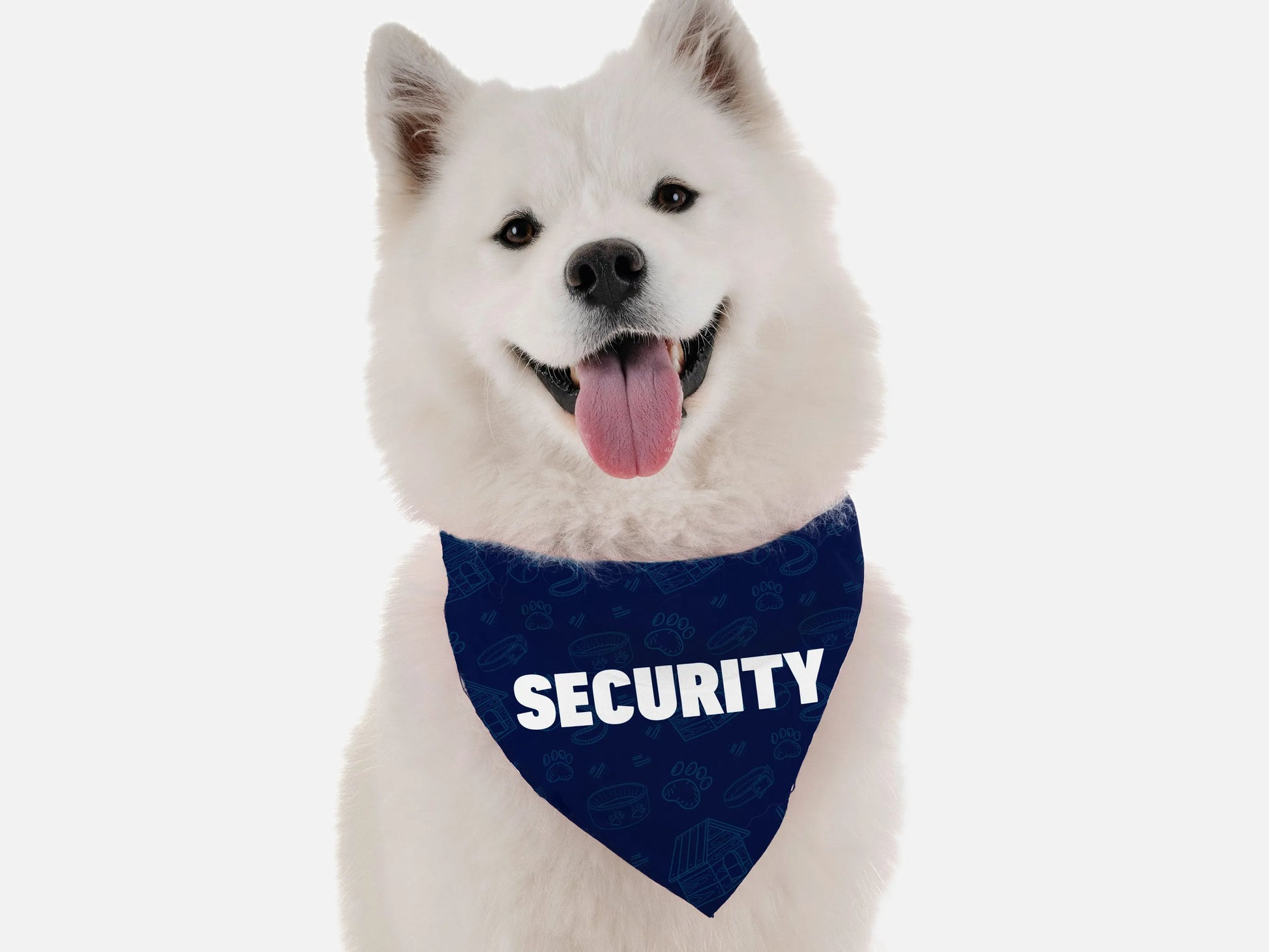 Dog wearing navy blue security bandana