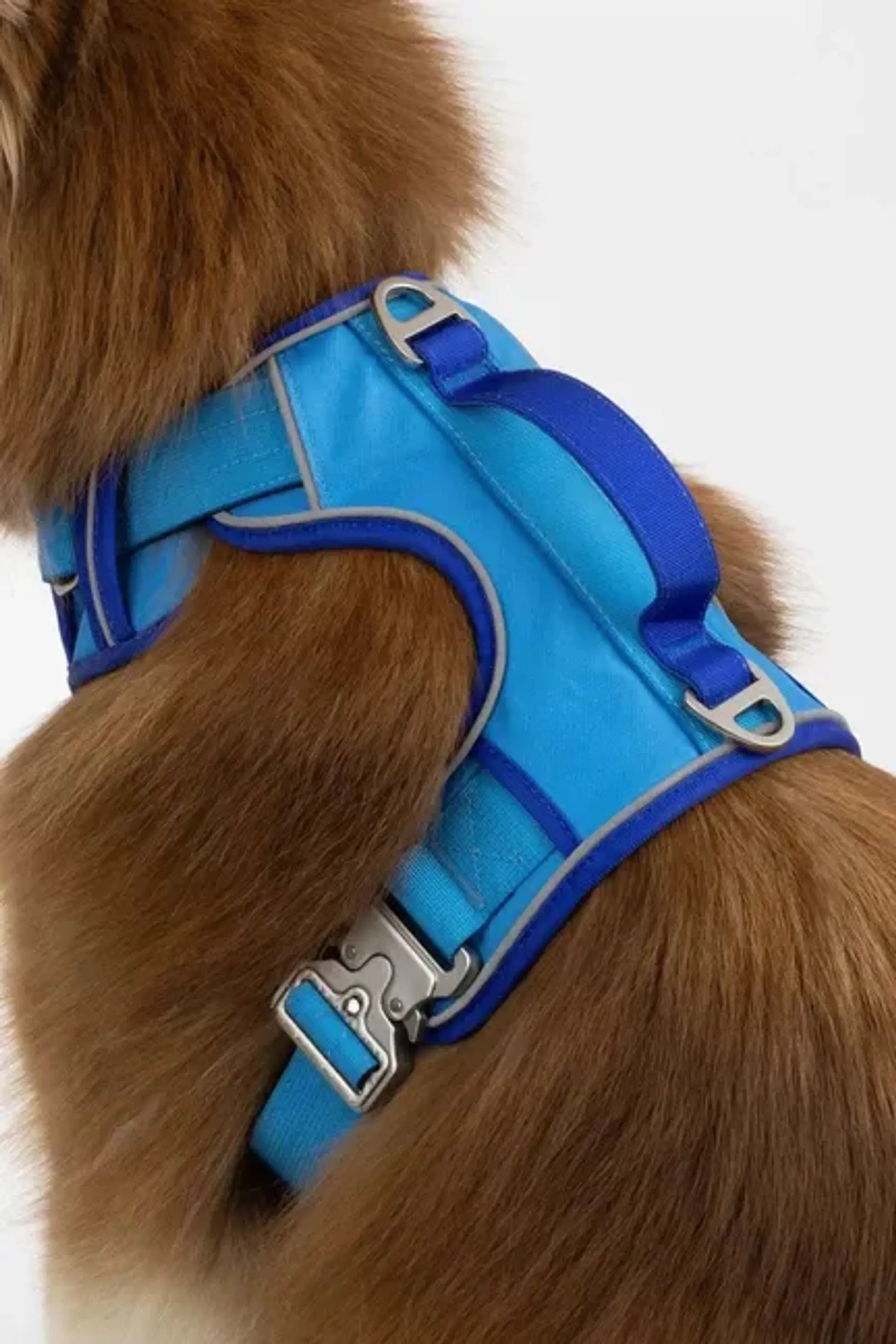 Ultimate Dog Harness