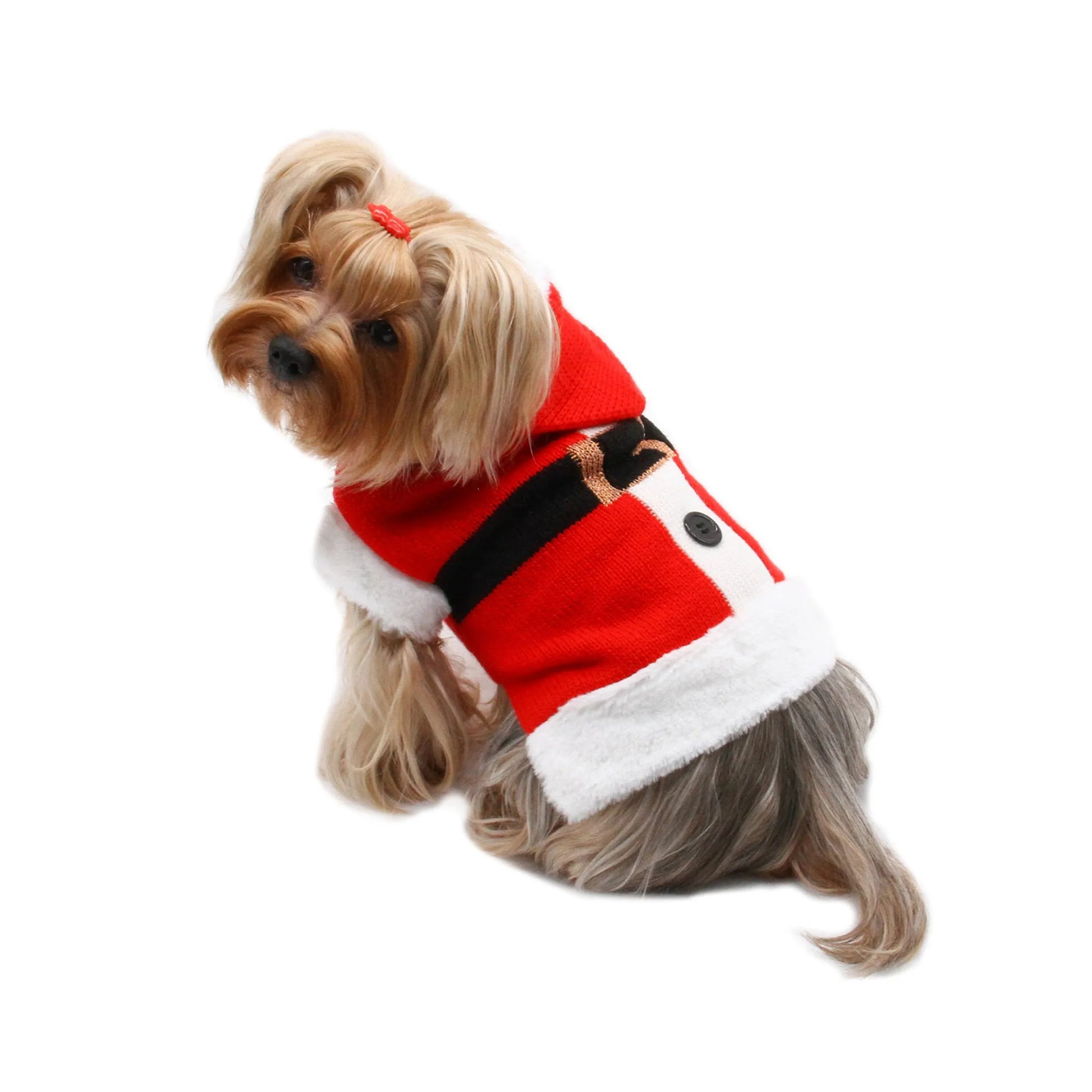 Dog wearing Santa sweater with fur trim