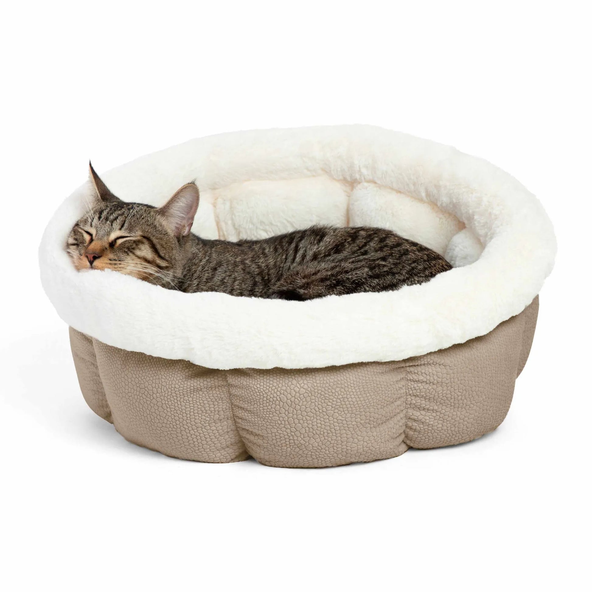Cuddle Cup Cat or Dog Bed