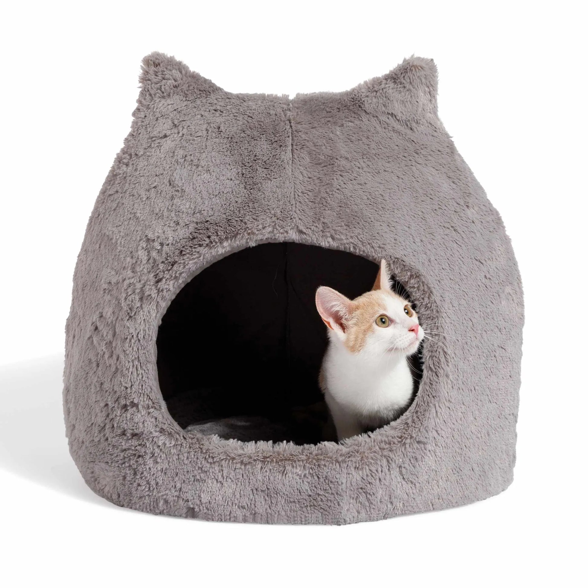 Best Friends Cat Hut