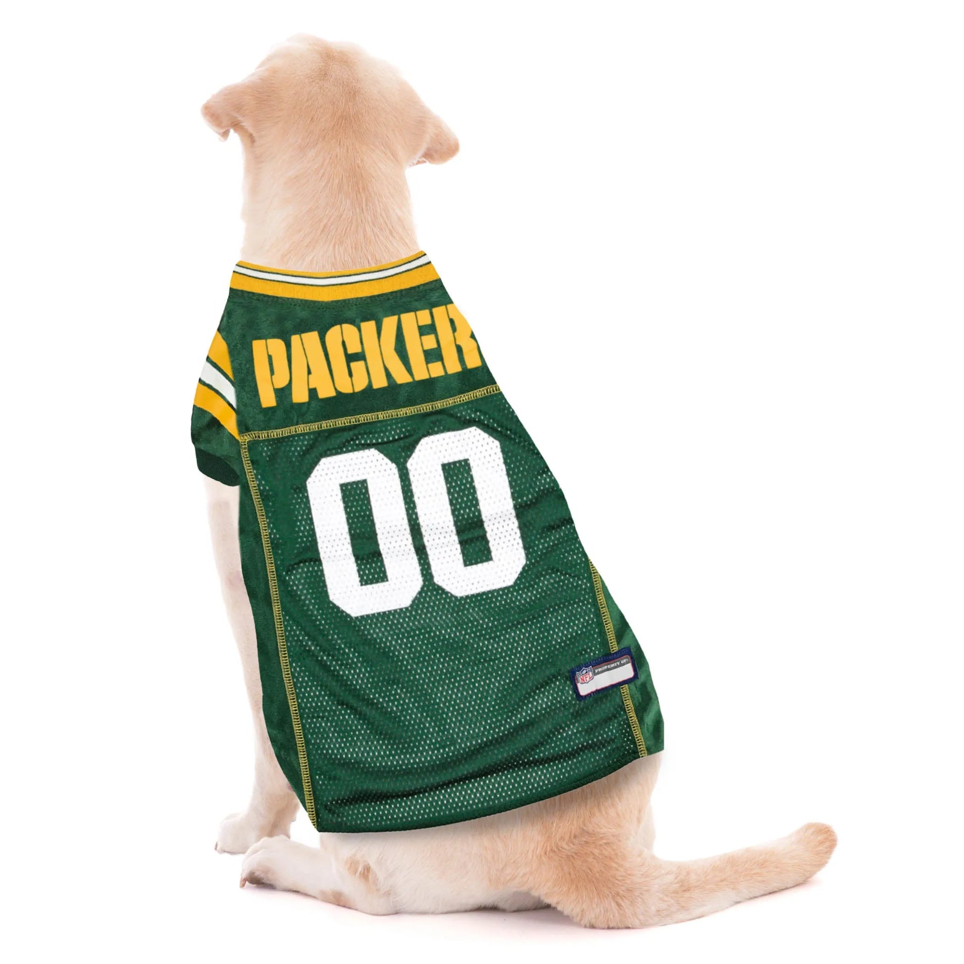 Dog in green with yellow packers jersey 