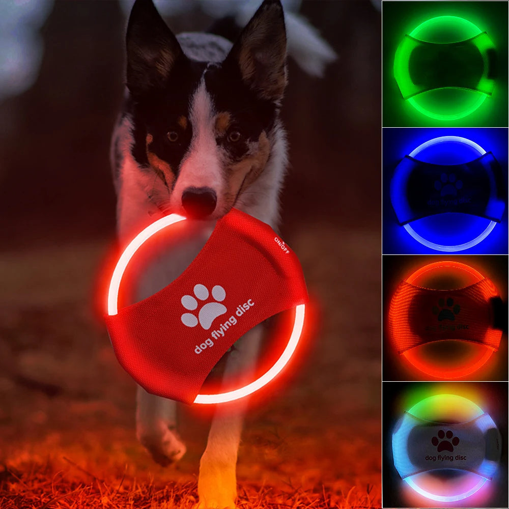 black and white dog carrying red Flying Discs Light Glowing LED Luminous green blue red and multi samples