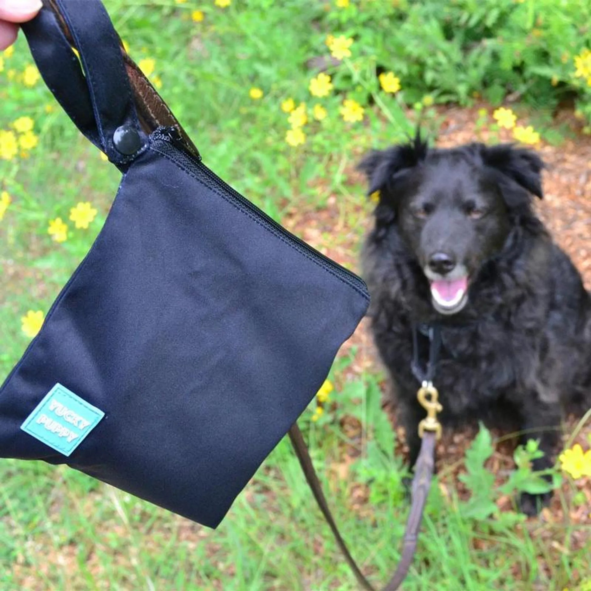 Black bag with a teal label held by a person, with a dog in the background
