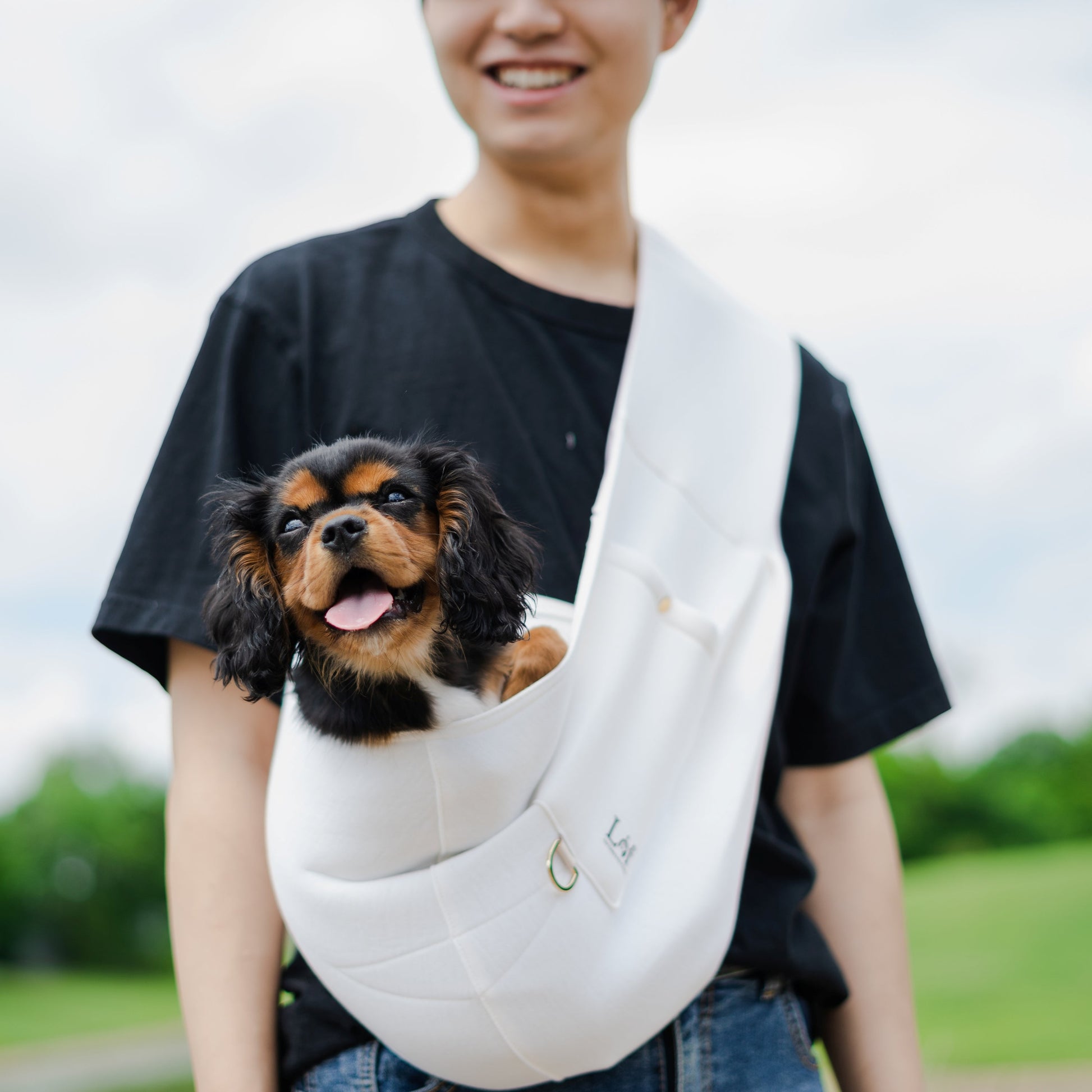 happy dog in sling with owner