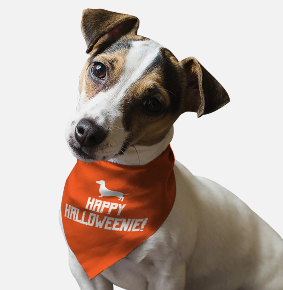 Orange Happy halloweenie dog bandana