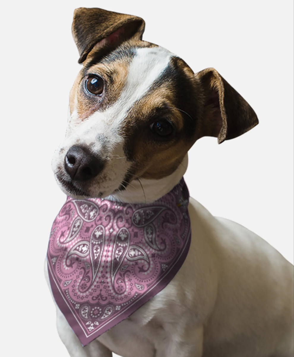 Lilac Paisley Dog Bandana