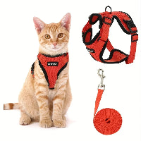 Cat wearing a red harness and leash set on a white background