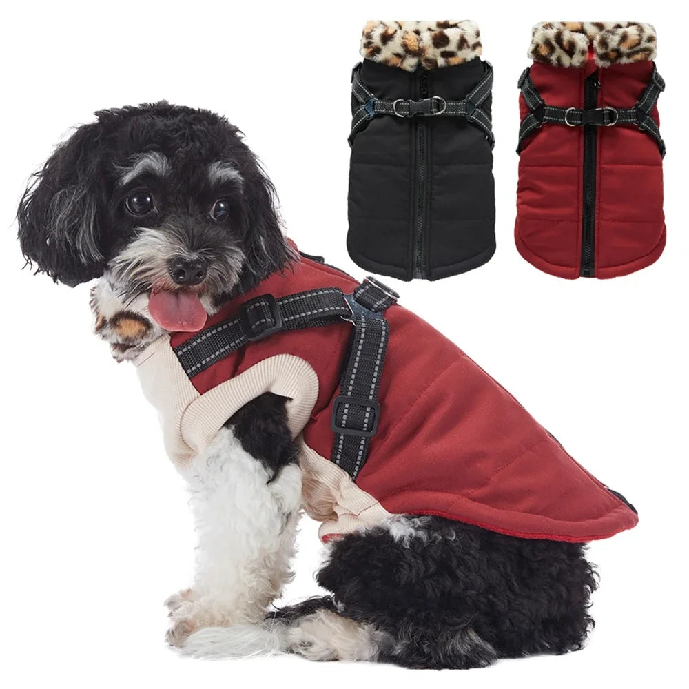 Jacket With Harness For S/M Dogs