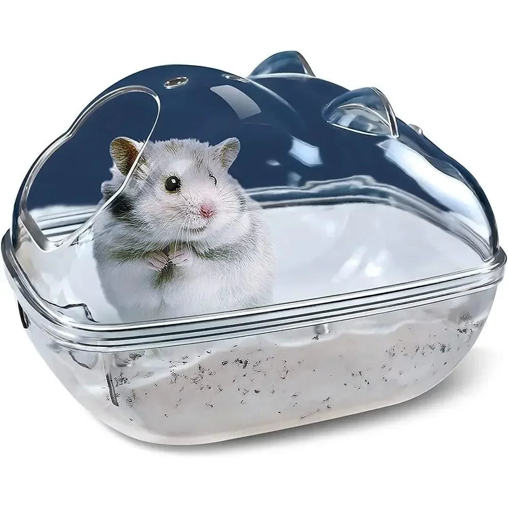 Hamster in a clear container 