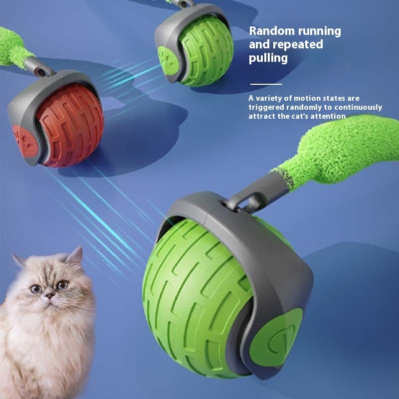 cat sitting red and green Interactive Cat Auto Electric Rolling Ball