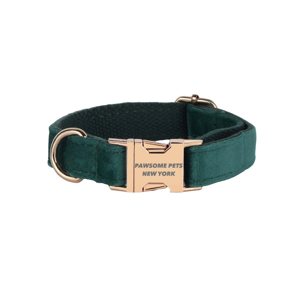 Green dog collar with rose gold buckle on a white background