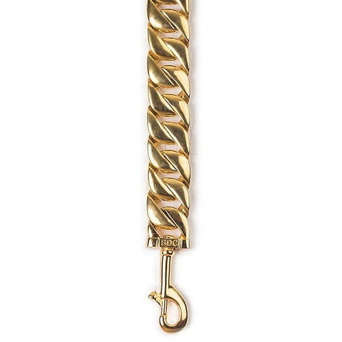 Latch gold dog chain